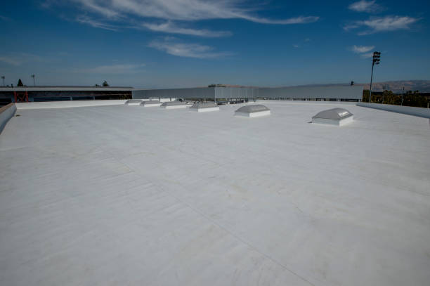 Best Roof Ventilation Installation  in Broadmoor, CA