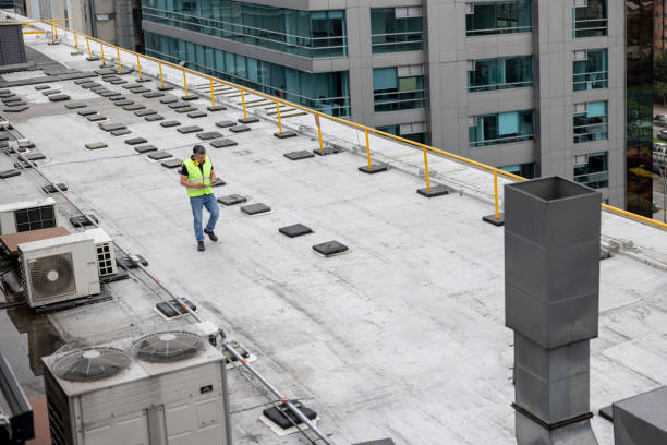 Best Roof Moss and Algae Removal  in Broadmoor, CA